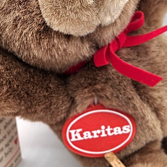 Gund Karitas Tender Teddy Brown Plush Teddy Bear 1989 Tags Gift Bag Vintage NOS - Picture 11 of 15